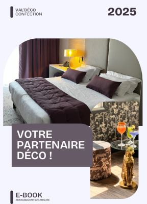 E-book Professionnel